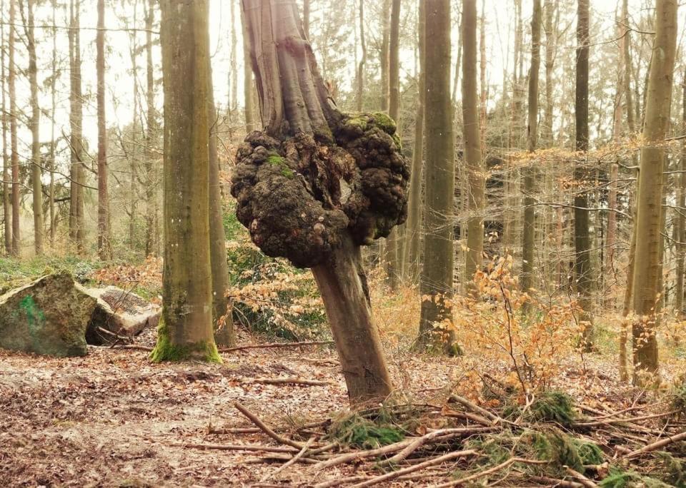 Le Chant De L Aisne Érezée Dış mekan fotoğraf